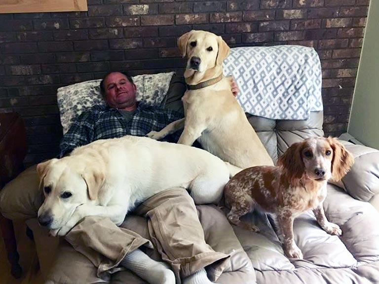 Dogs
