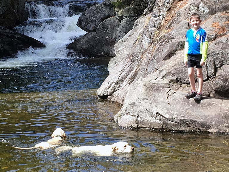 Dogs & Kid