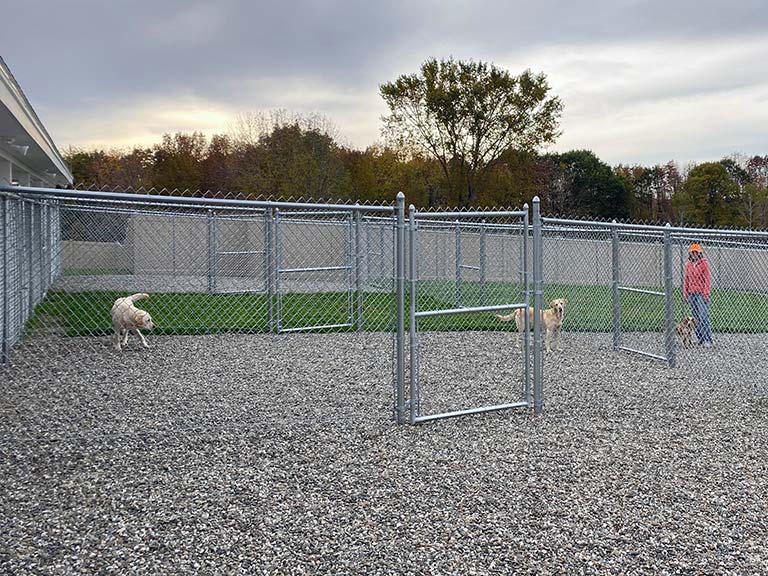 animal boarding facilities near me