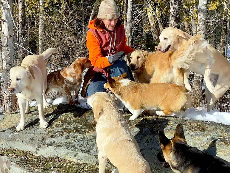 Many Dogs