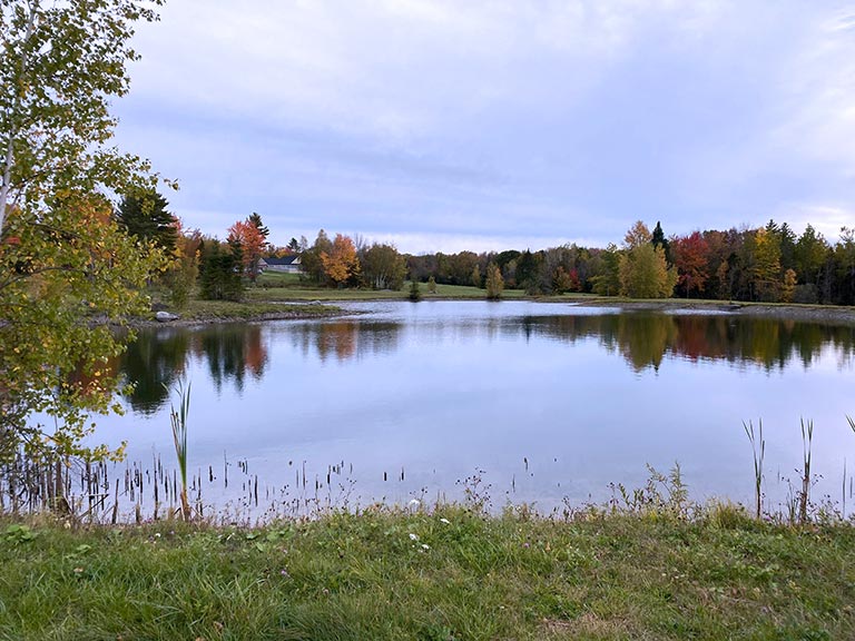 Lake