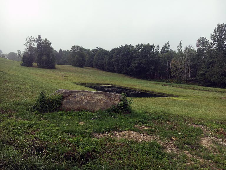 Field